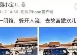 故宫开车事件女子背景